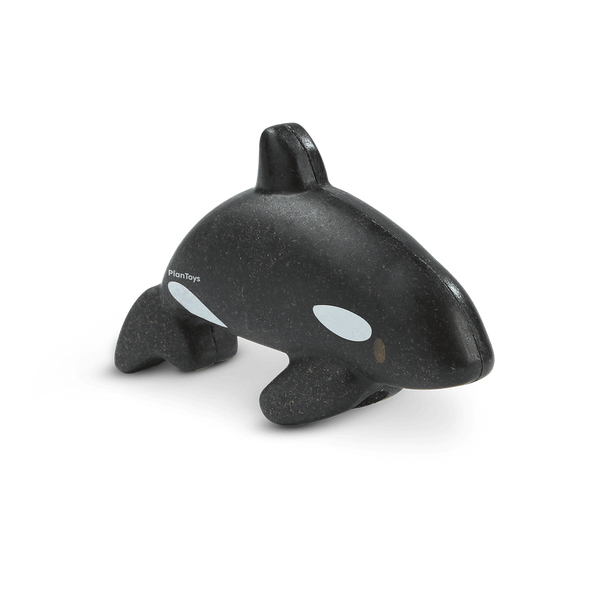 Orca