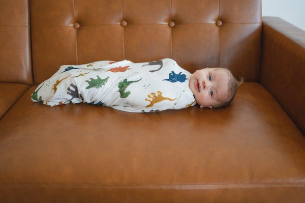 Snuggle Swaddle - Dino