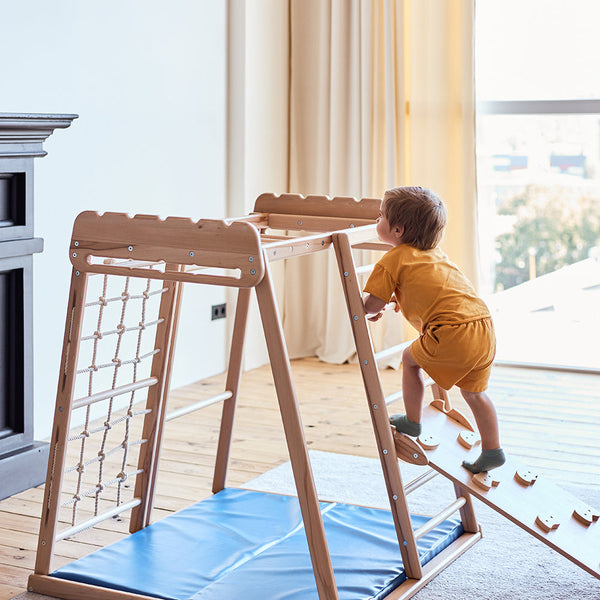 Indoor Jungle Gym