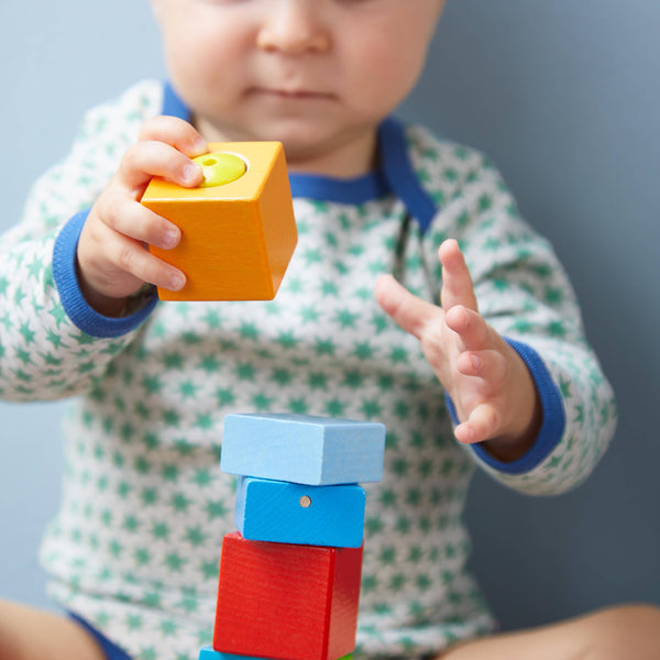 Fun with Sounds Wooden Discovery Blocks